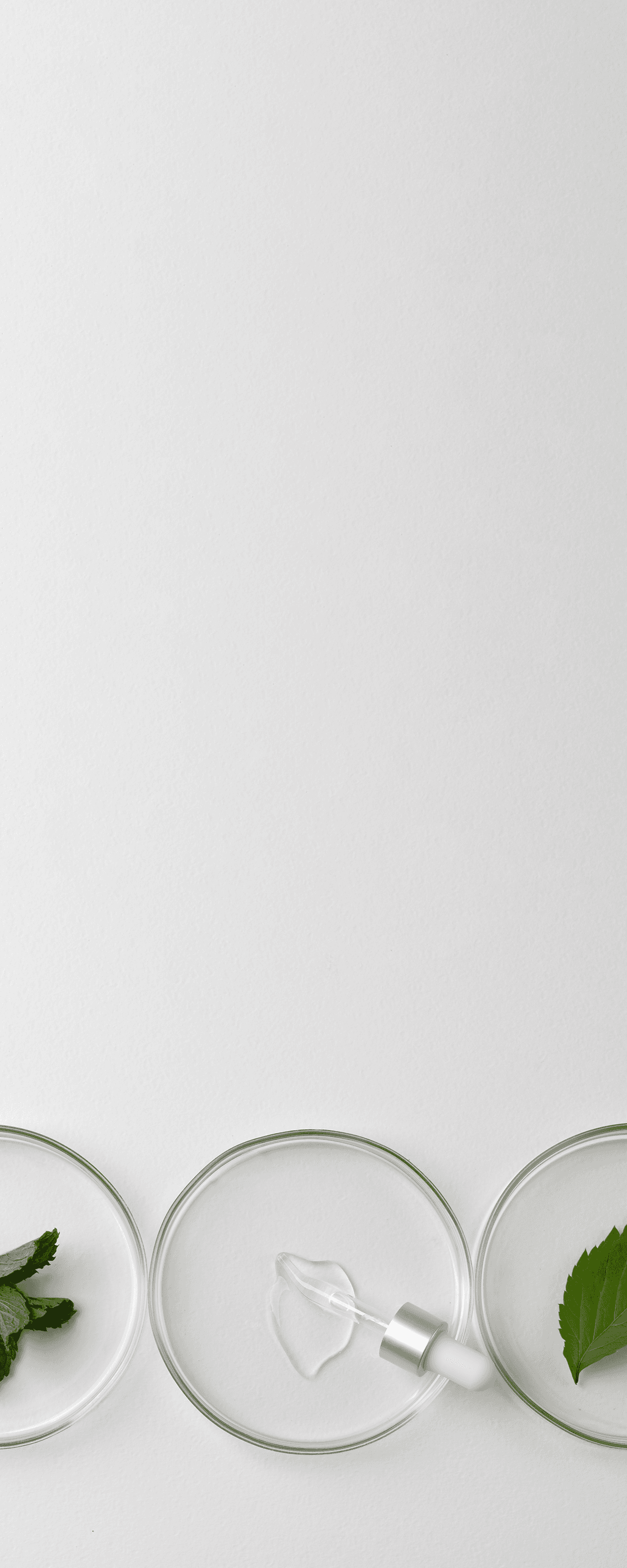 background mobile section 5